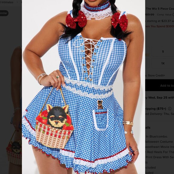Brand New Dorothy Wizard of Oz Costume - Picture 2 of 4